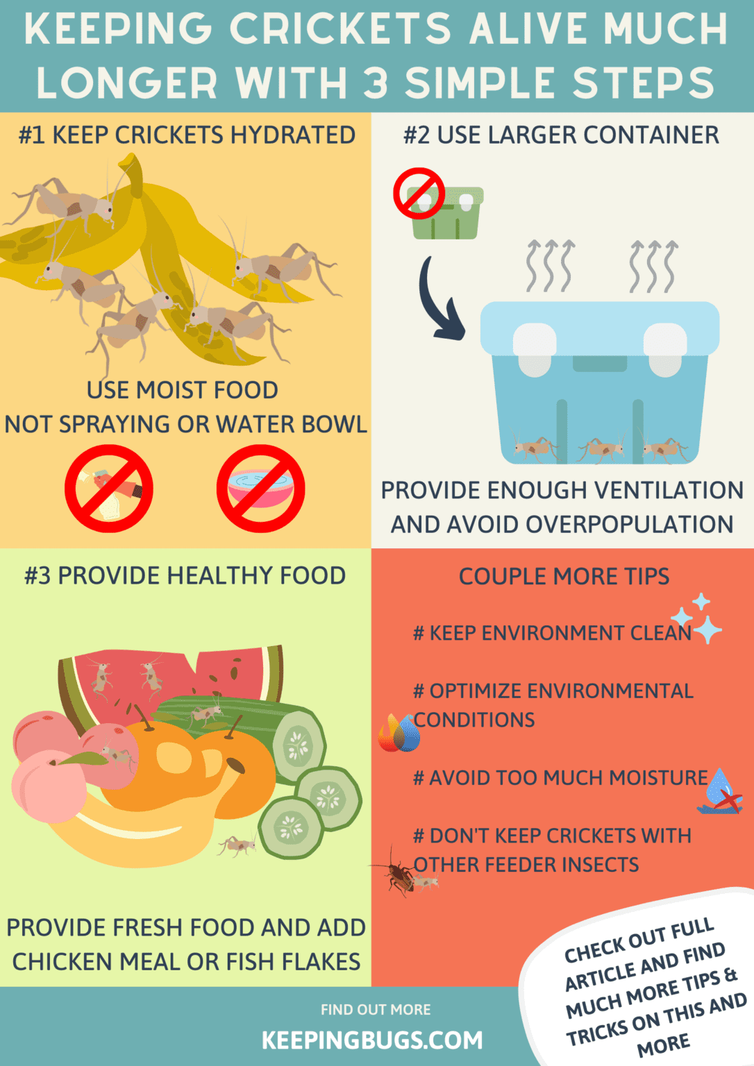 Keep Feeder Crickets Alive Much Longer [With 3 Simple Steps]